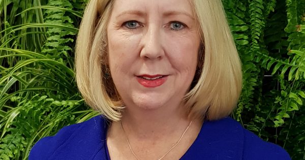 Not enough oversight for COVID-19 legislation, Committee says