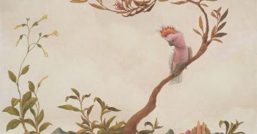 Imagining Malmaison: artist Nicola Dickson's wonderful journey