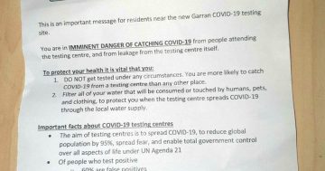 Fake newsletter 