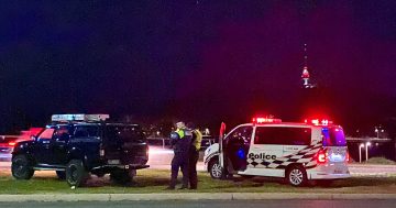 Police renew calls for witnesses to fatal accident involving Sue Salthouse