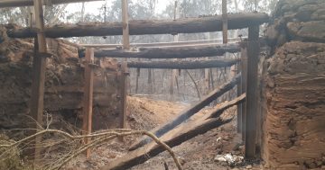Tight turnaround for rebuilding burnt-out bridges
