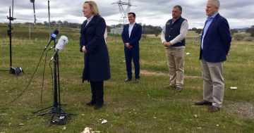Regional councils welcome new roads funding