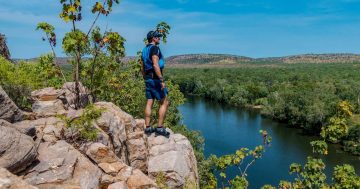 Free guidelines to help tourism businesses start up again
