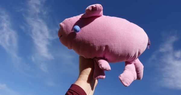 Eleven things to do this week in Canberra (10 - 16 July)
