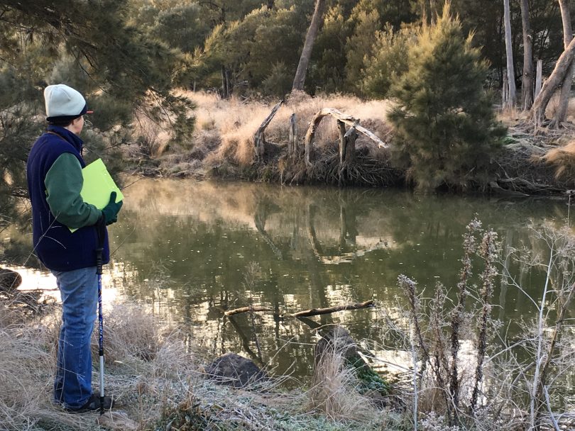 Platypus spotter