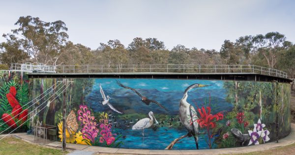 Keep Canberra Beautiful