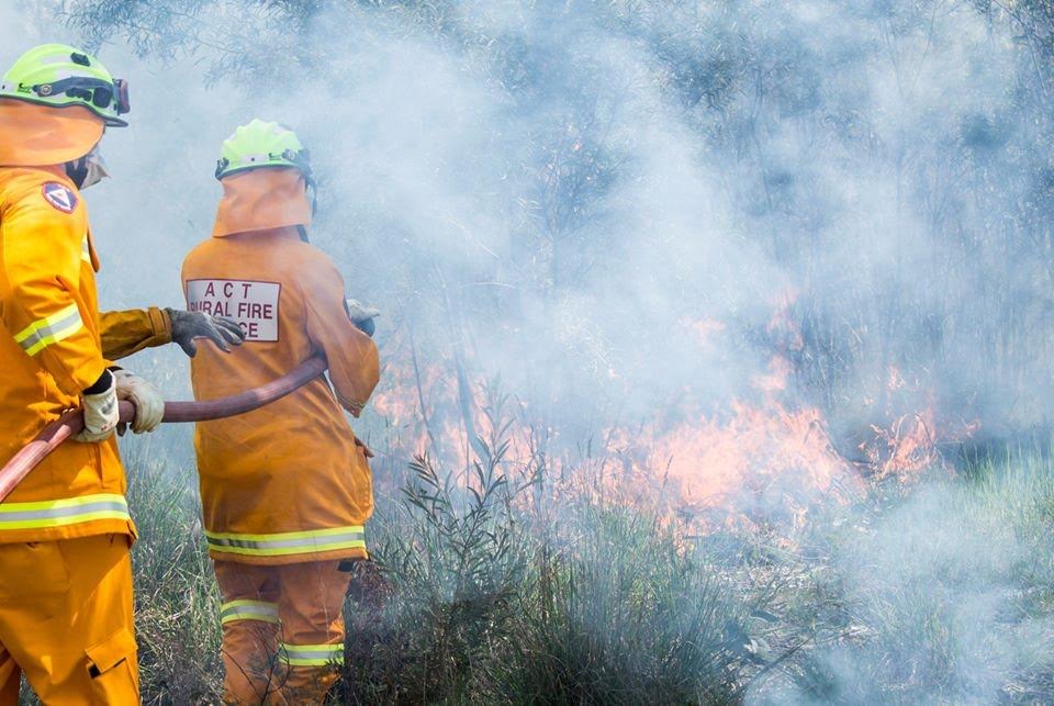 RFS volunteers fighting a bushfire