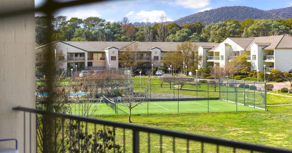 An apartment with heart goes on the auction block to support Beyond Blue, the Cancer Council and RSPCA