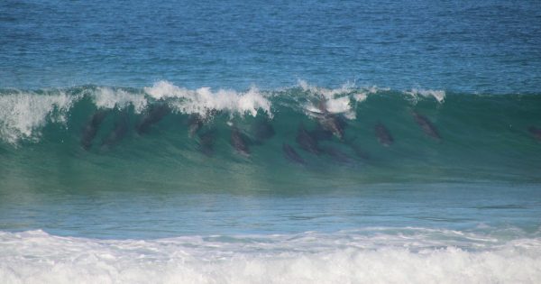 A note from the coast as you prepare for the summer