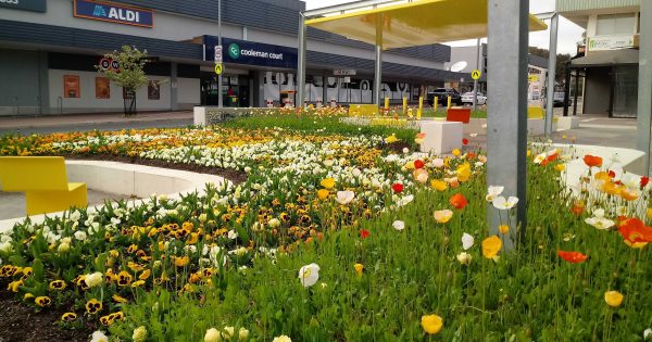 Let Floriade's flowers bloom across Canberra every year