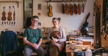 Violinmakers' collaboration is music to our ears