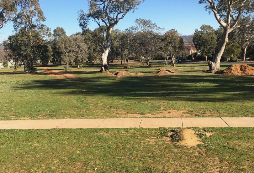 Bike jumps at Ainslie. Photo: Tim Gavel.