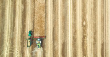 Farmers struggle to secure contractors for 'bumper' harvest