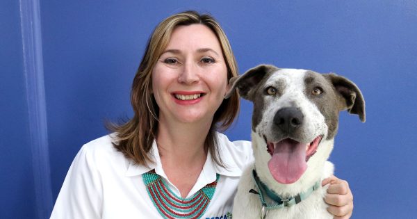 Puppy love continues after COVID-19 surge, says RSPCA