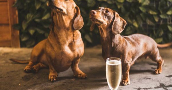 Ten things to do in Canberra this week (18 to 24 September)