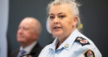 ESA Commissioner Georgeina Whelan says 2021 was a year of challenges and learning