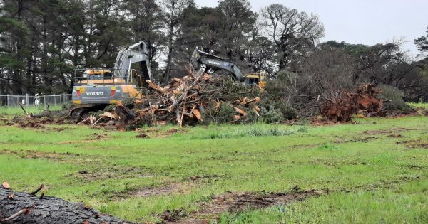 Work starts on Canberra Brickworks redevelopment access road