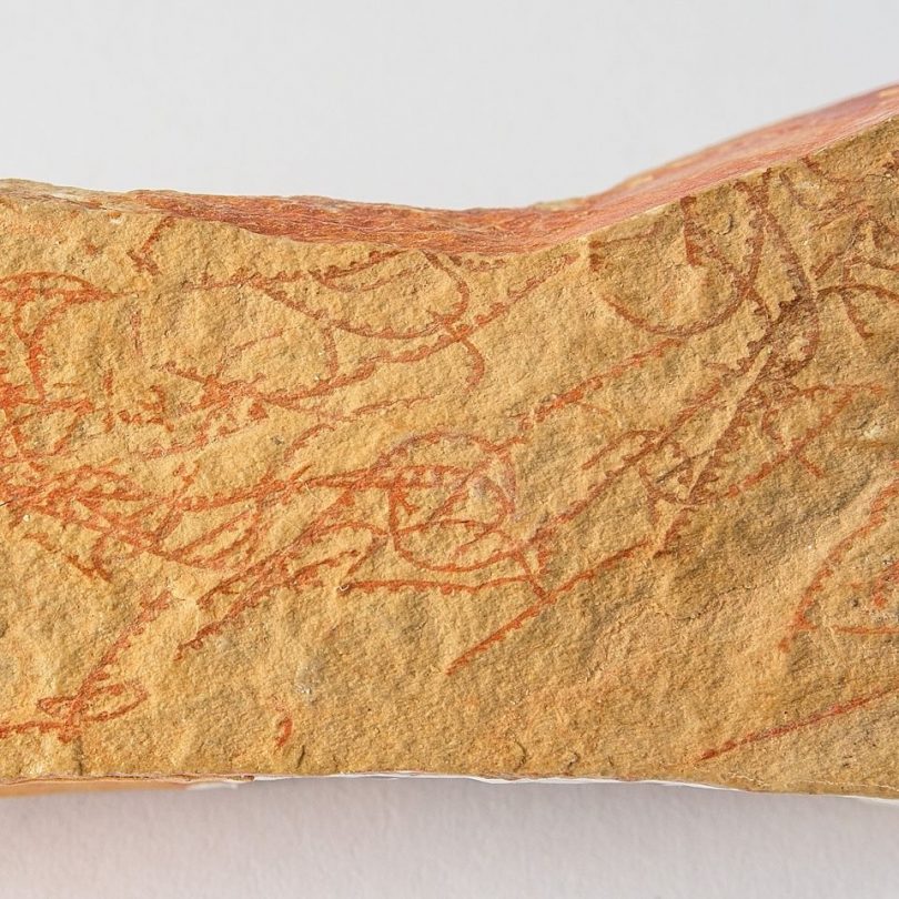 Graptolite fossil.