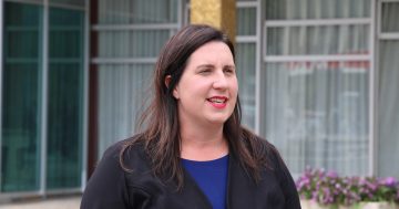 Inquiry into racist incidents in the ACT to begin immediately
