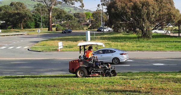 It's a jungle out there as spring wet keeps mowers on the grass