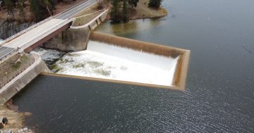 Council's $66 million water bill for new poultry processing plant angers developer