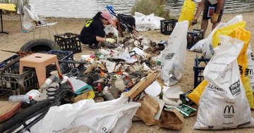 Canberrans are getting together to clean up Lake Burley Griffin – are you in?