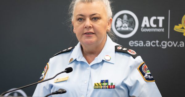 ESA Commissioner Georgeina Whelan announces resignation as unions label leadership review 'axe job'
