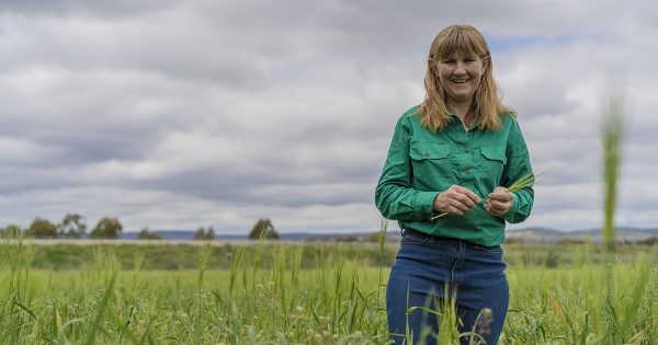 No more intent, just give us a lease, say in-limbo Majura Valley farmers