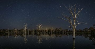 Matt Tomkins is the overall winner of Icon Water's spring photo competition