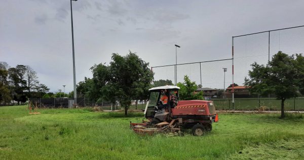 $6 million surge to keep grass and potholes at bay