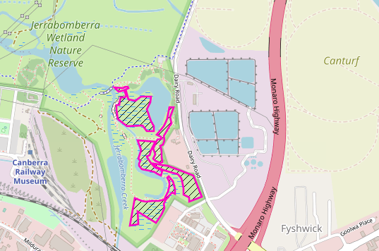 Burn site
