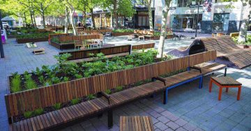 ACT Budget: Footpaths and sports facilities get shot in the arm as budget targets community infrastructure