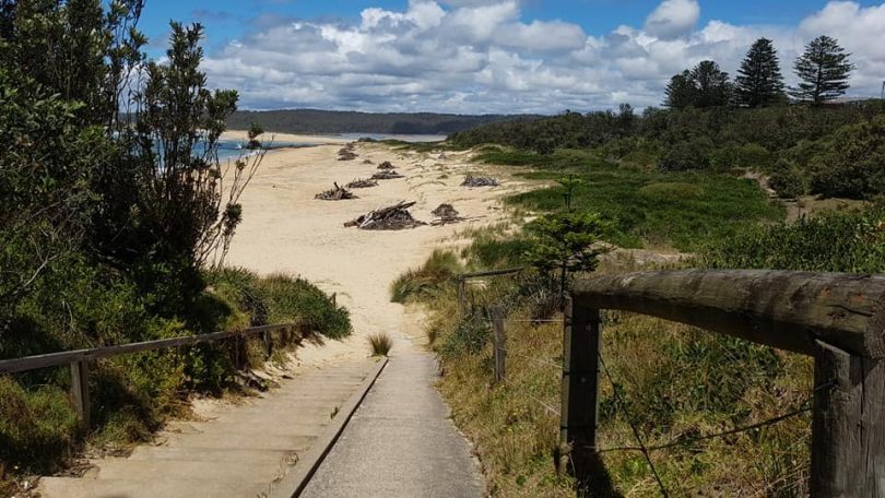 Tuross beach