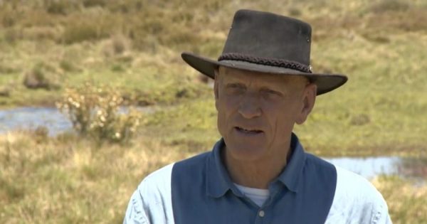 Peter Garrett speaks of urgent need to reduce horse numbers