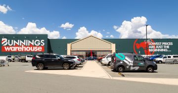Bunnings allegedly twice targeted by robber who may have stolen $20,000