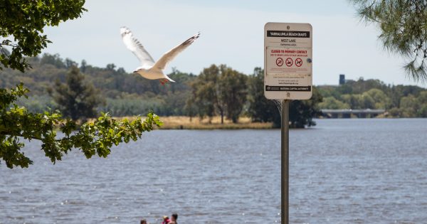 Can Lake Burley Griffin's blue-green algae problem be fixed with ultrasound? Um, not really