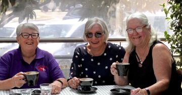 Red Hatters fit in with a splash of purple to connect women in Canberra