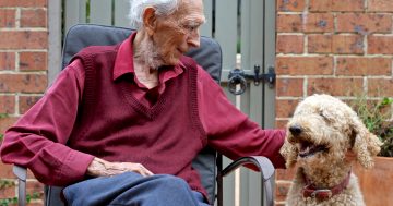 Meet the unofficial mayor of Kingston who has a dog's life