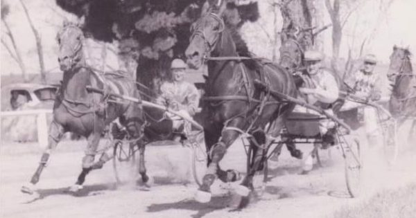 Harness racing legend Tom Hewitt honoured at Goulburn Paceway