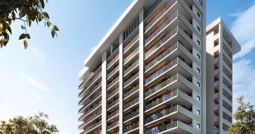 Find light and space in Gungahlin