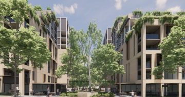POD aims for solar power first in big Gungahlin development