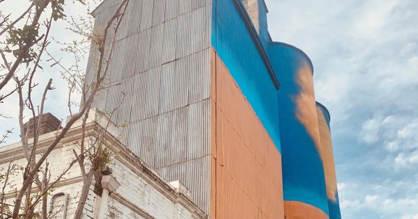 Mongolian street artist breathes new life into Harden-Murrumburrah mill