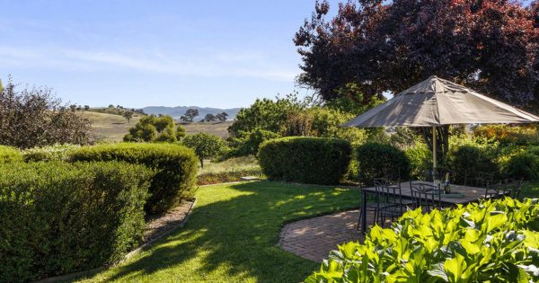 Twenty minutes from Canberra, a working farm with a spacious family home