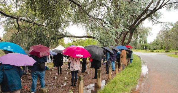 Bring out the brollies for another heavy downpour