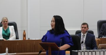 Focus on the ACT, not the United Nations, Liberals tell government