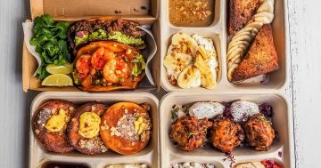 Hot in the City: Patissez 'shake' off the past and forge an exciting new path