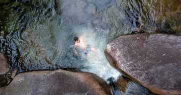 Drownings prompt reconsideration of inland life saving service