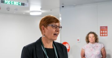 ACT closes border to Brisbane, returned travellers must enter mandatory isolation