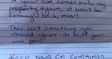'Your cat won't be coming back, ever!': claws out in cat debate