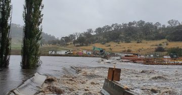 Floods and winds make parks and reserves off limits for visitors this weekend